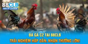 Đá Gà C2 Tại 88CLB – Trải Nghiệm Hấp Dẫn, Nhận Thưởng Lớn!