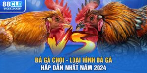 Đá Gà Chọi - Loại Hình Đá Gà Hấp Dẫn Nhất Năm 2024