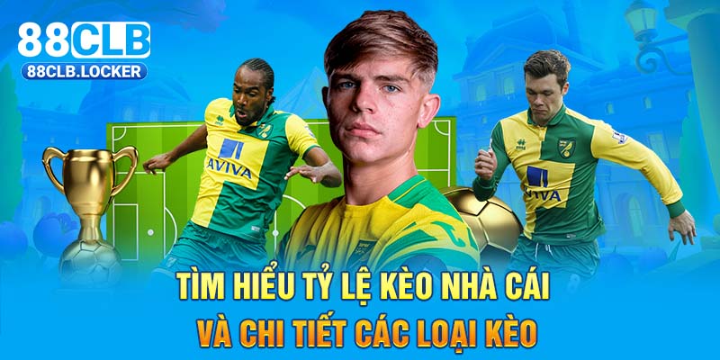 Tìm Hiểu Tỷ Lệ Kèo Nhà Cái Và Chi Tiết Các Loại Kèo