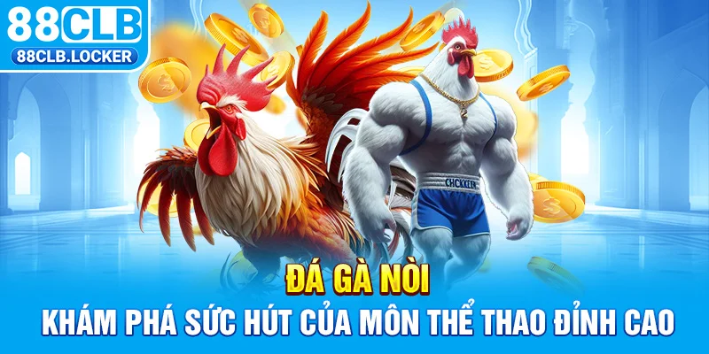 Đá Gà Nòi Khám Phá Sức Hút Của Môn Thể Thao Đỉnh Cao