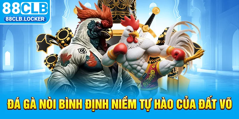 Đá gà nòi Bình Định niềm tự hào của đất võ Đá gà nòi Bình Định niềm tự hào của đất võ